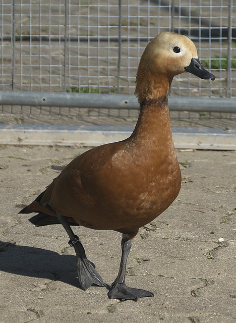 与冷静
