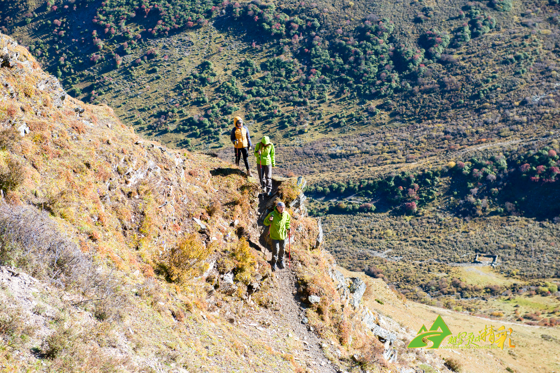 通过科学的 通过科学的