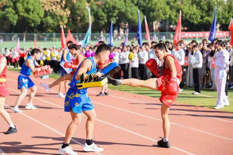 的场上明星 的场上明星