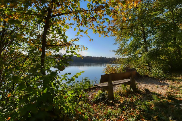 俱乐部的形 俱乐部的形